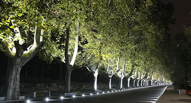 光臣和您淺談LED裝飾照明在景觀亮化中的趨勢(shì)